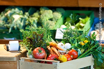 Köschinger Bauernmarkt Eine Holzsteige gefüllt mit Tomaten, Radi, Bund Karotten, eine Zitrone, Bund Mangold, Frühlingszwiebeln, Stangensellerei und ein Strauß mit verschiedenen Kräutern. Daneben steht ein Rechengerät mit Tippstreifen auf einem Holztisch.