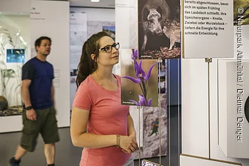 Eine Frau betrachtet eine Ausstellung mit hängenden Tafeln, die Bilder und Texte zeigen. Im Hintergrund geht ein Mann vorbei.