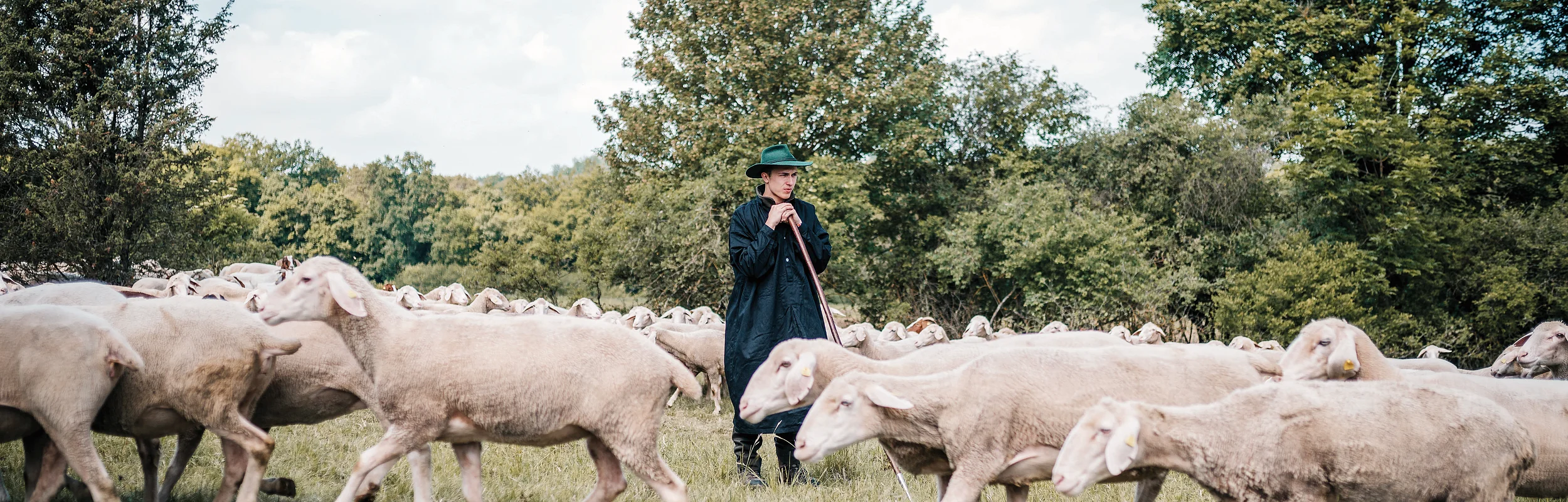 Hirte mit grünem Hut und schwarzem Mantel bewacht Schafherde auf Wiese vor Bäumen bei Tageslicht.