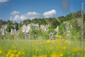 Vier Radfahrer fahren auf einem Weg vor bewaldeten Felsen unter blauem Himmel mit Wolken.