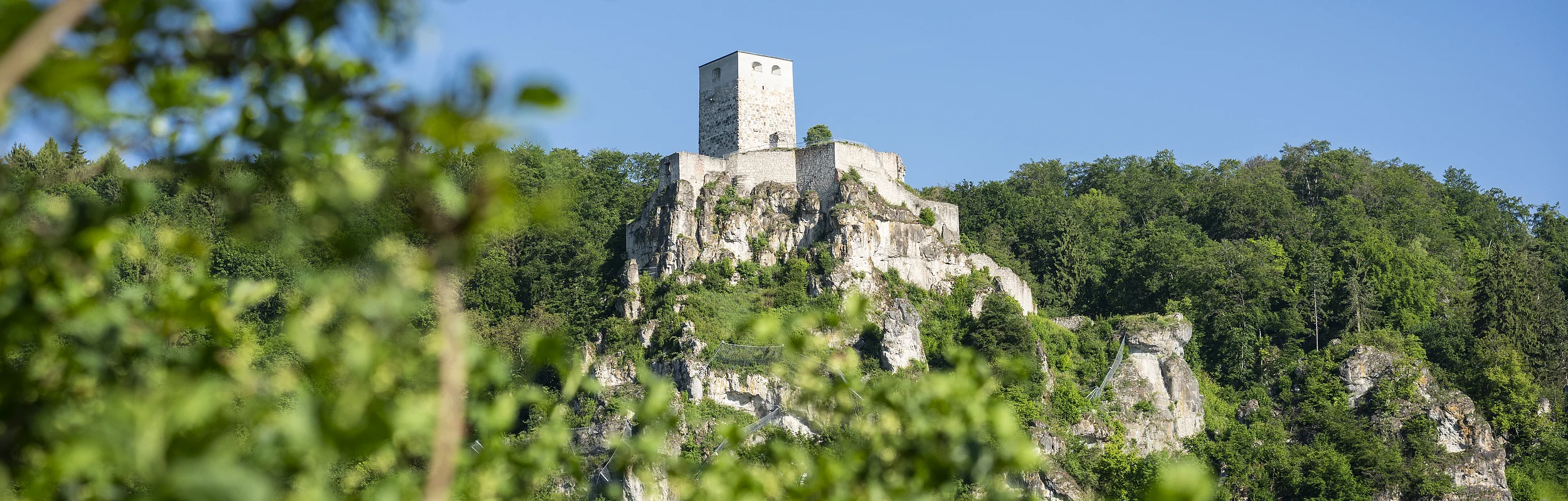 Burgruine auf einem bewaldeten Felsen unter blauem Himmel, im Vordergrund unscharfe grüne Blätter.