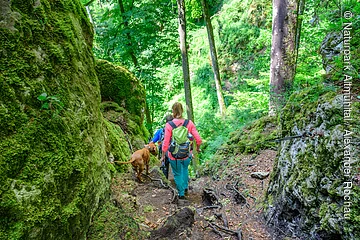 Wanderer mit Hund auf einem Waldpfad zwischen moosbedeckten Felsen, Blick von hinten.