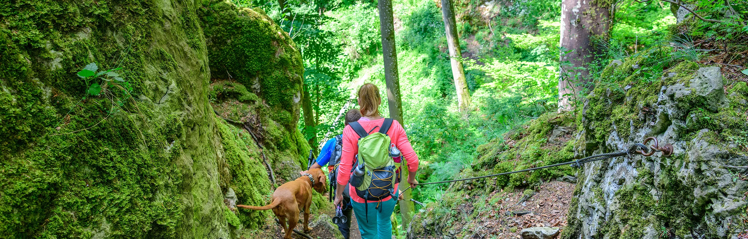 Wanderer mit Hund auf einem Waldpfad zwischen moosbedeckten Felsen, Blick von hinten.