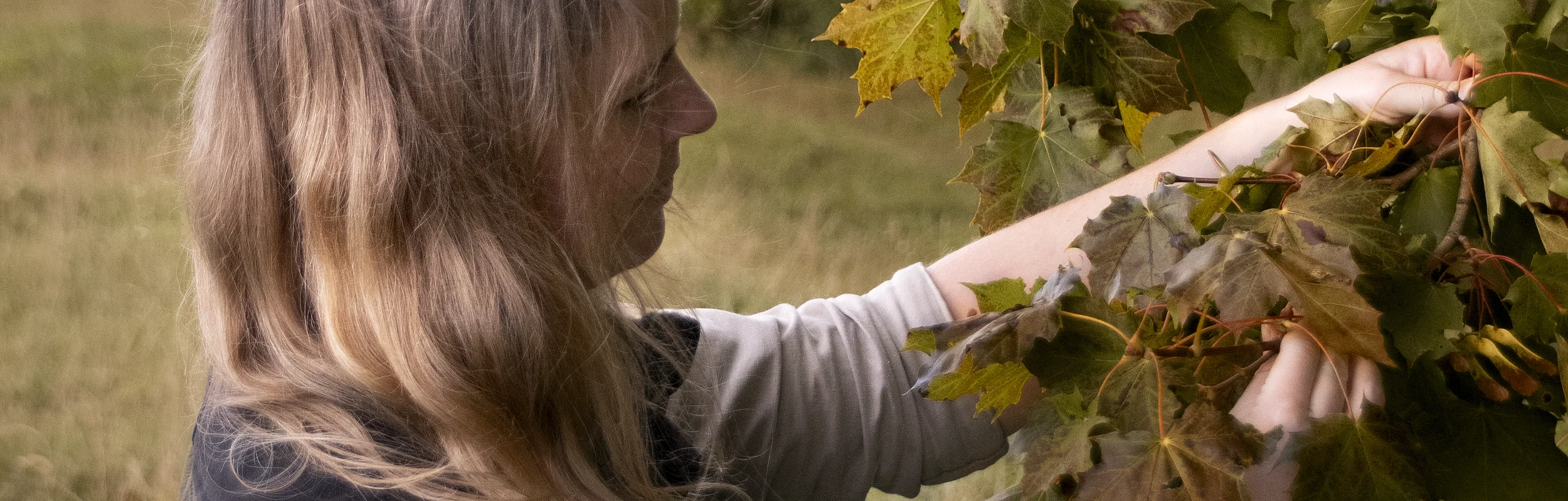 Weibliche Person hält grünen Baumzweig