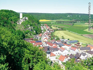 Blick auf ein Dorf mit Kirche und Burgruine auf bewaldetem Hügel, umgeben von Feldern und Wiesen.