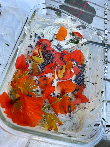 Wildkräuterfrischkäse Glasbehälter mit weißem Frischkäse, roten Blütenblättern und kleinen lila Samen auf weißer Oberfläche