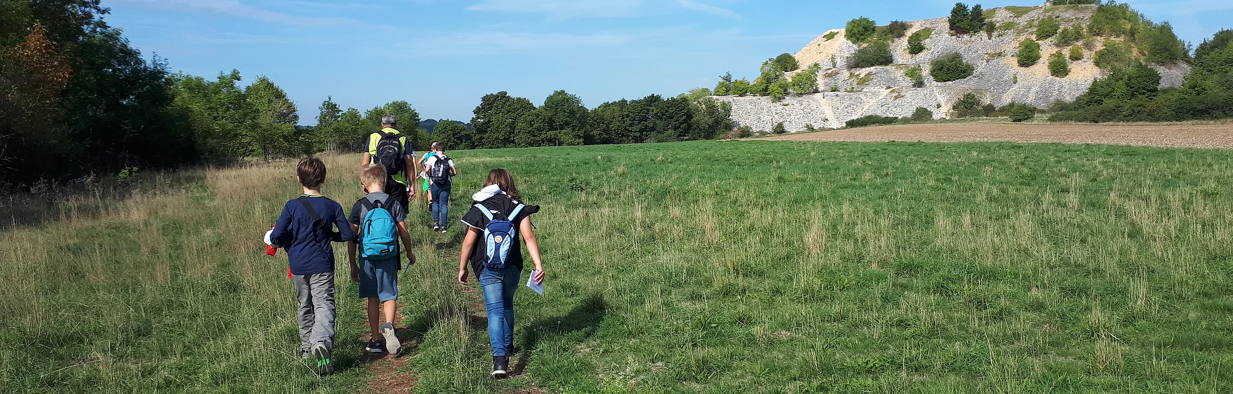 Eine Gruppe von Menschen wandert auf einem Pfad durch eine Wiese, im Hintergrund ein Hügel mit Bäumen.