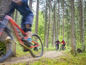 Heumöderntrails in Treuchtlingen Drei Personen fahren mit Mountainbikes auf einem Waldweg. Eine Person ist unscharf im Vordergrund.