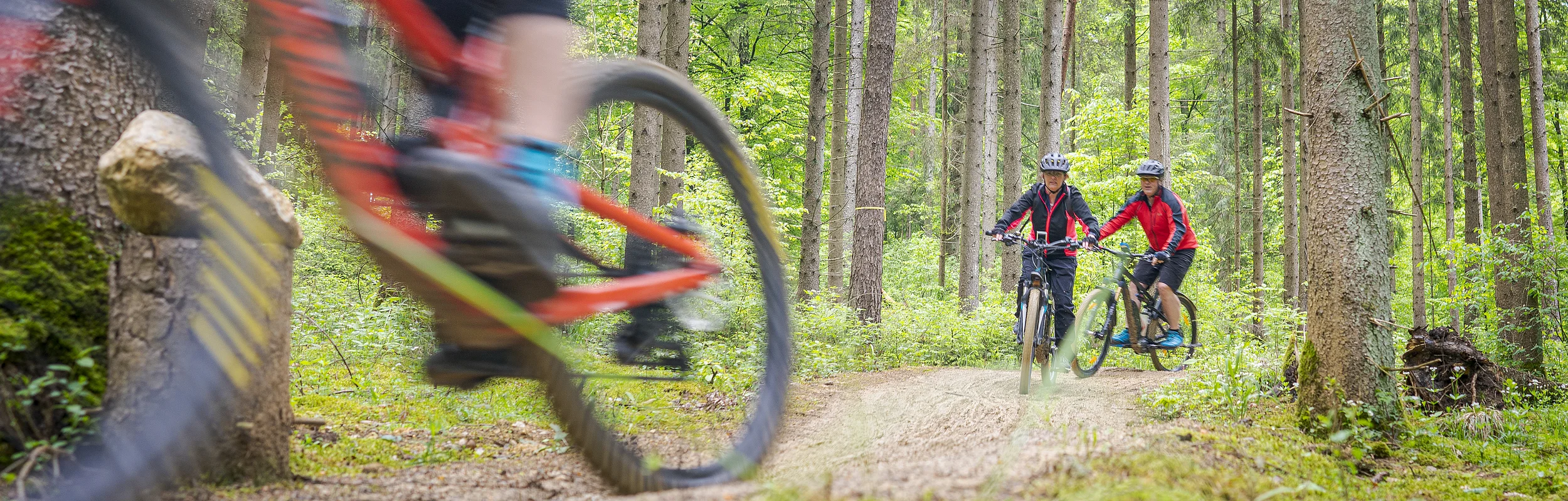Drei Personen fahren mit Mountainbikes auf einem Waldweg. Eine Person ist unscharf im Vordergrund.