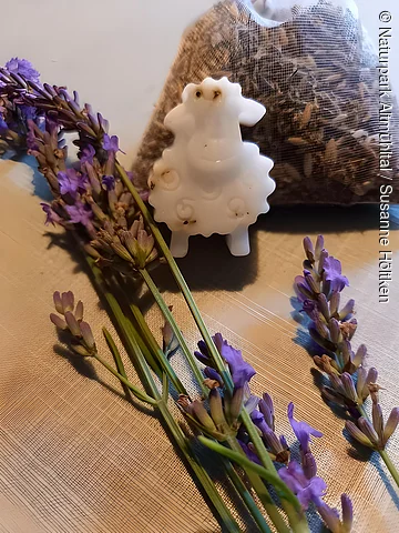 Lavendelseife Eine Lavendelseife in Schäfchenform liegt auf einem Tisch, dekoriert mit blühendem Lavendel