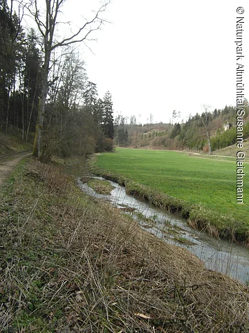 Die Gailach fließt neben einem Weg durch eine Wiese, links Bäume und Sträucher, im Hintergrund Wald und Hügel.