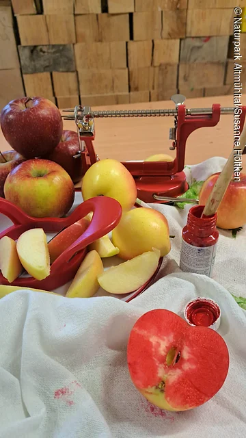 Rote und gelbe Äpfel, Apfelschneider, rote Farbe und ein halbierter Apfel mit roter Farbe auf weißem Tuch.