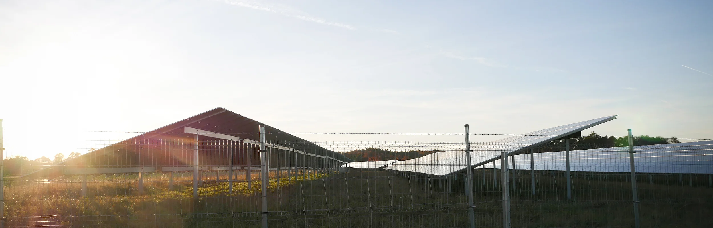 Solarpanel-Feld hinter einem Drahtzaun bei Sonnenaufgang oder Sonnenuntergang unter klarem Himmel