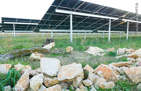 Solarpaneele auf Metallgestellen über Grasfläche mit Steinhaufen im Vordergrund