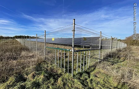 Drahtzaun umgibt ein Feld mit Solarpanelen unter blauem Himmel, Gras und Büschen außen herum.
