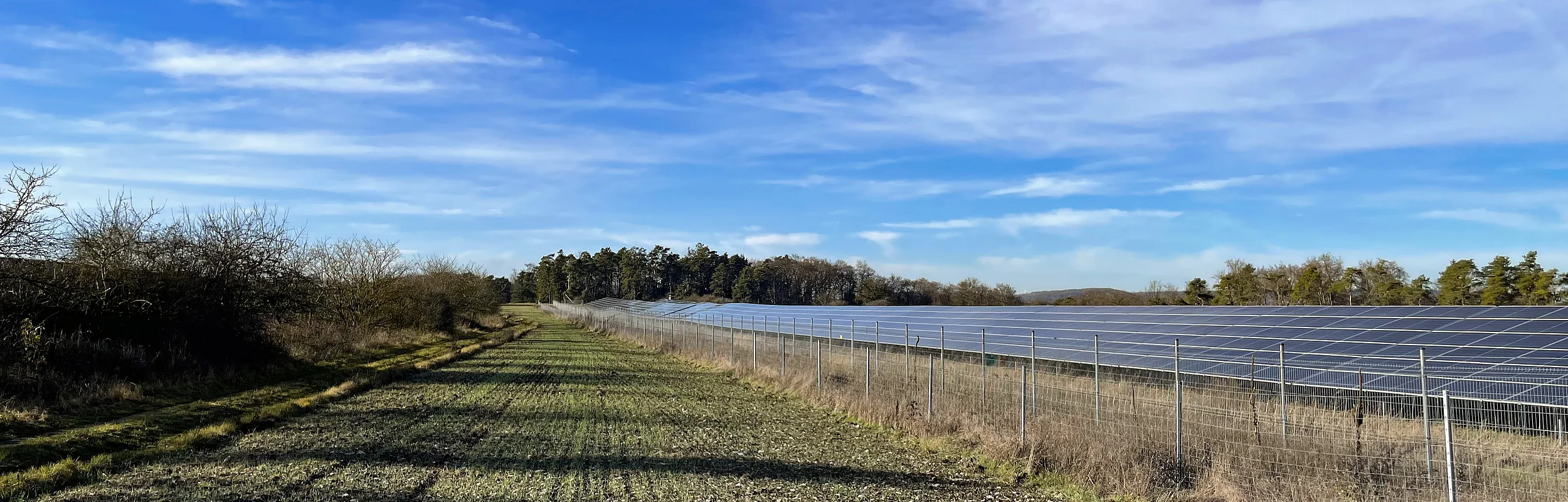 Freifläche mit jungen Pflanzen, rechts eingezäunte Solarpanele, blauer Himmel mit Wolken und Kondensstreifen.