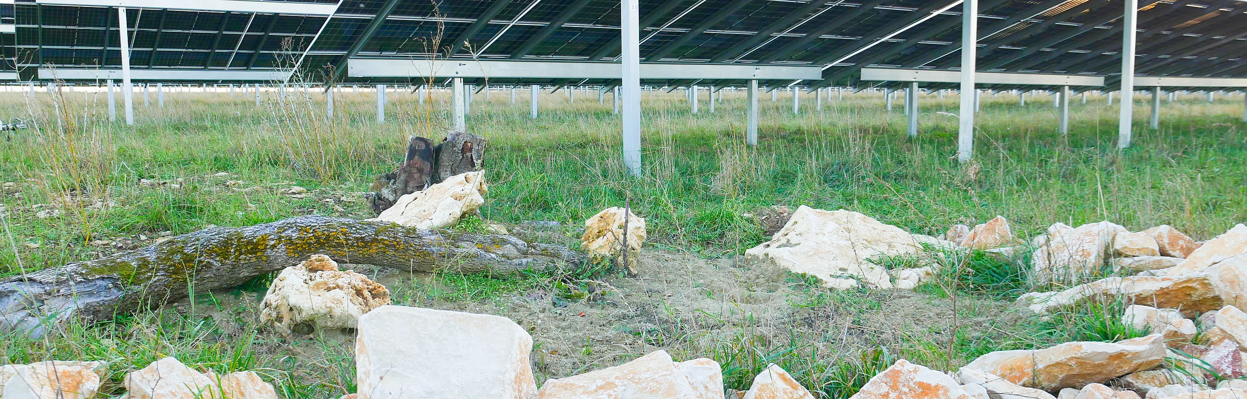 Solarpaneele auf Metallgestellen über Grasfläche mit Steinhaufen im Vordergrund