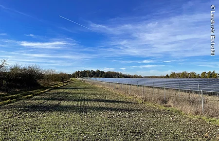 Freifläche mit jungen Pflanzen, rechts eingezäunte Solarpanele, blauer Himmel mit Wolken und Kondensstreifen.