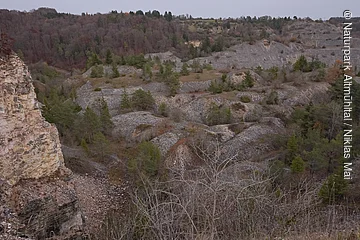 Blick auf bewaldete Hügel und steinige Felsen unter bewölktem Himmel in herbstlicher Landschaft.