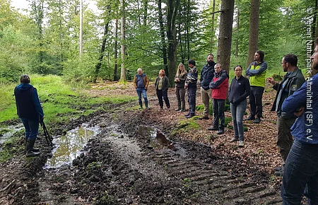 Gruppe von Menschen steht auf Waldboden neben schlammigem Weg mit Pfützen in grünem Waldgebiet.