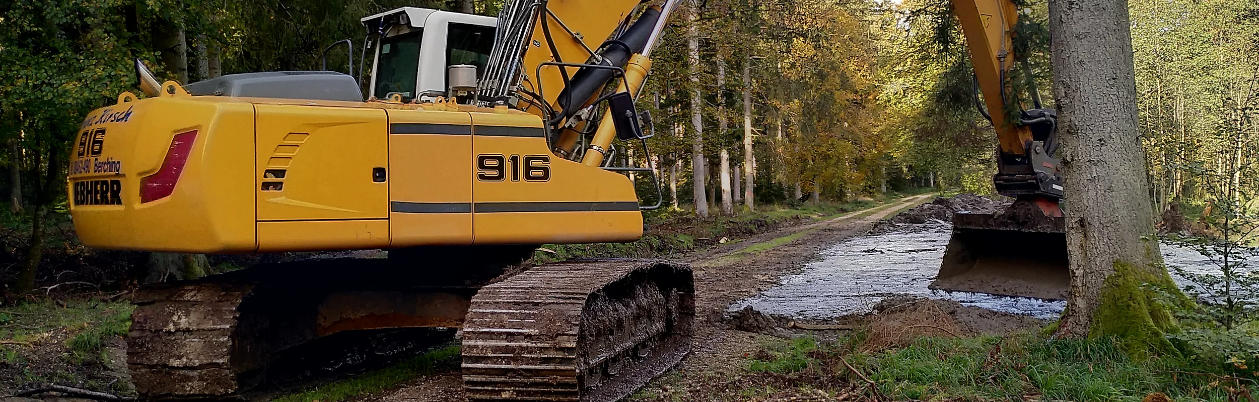 Bagger mit Kettenantrieb arbeitet auf Waldweg neben Baum im Wald.