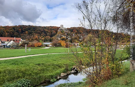 Grüne Wiese mit kleinem Bach, herbstliche Bäume und Burg auf bewaldetem Hügel im Hintergrund unter bewölktem Himmel.