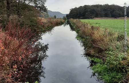 Fluss mit Uferbewuchs, links Bäume mit roten Blättern, rechts grüne Wiese, bewölkter Himmel.