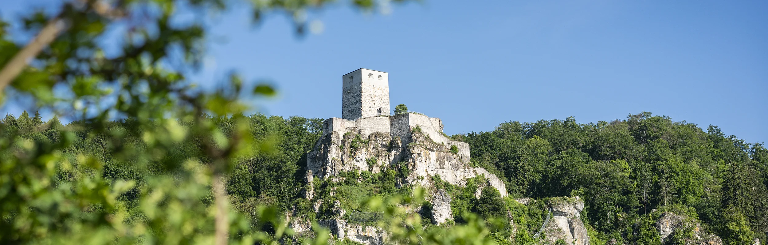 Burgruine auf einem bewaldeten Felsen unter blauem Himmel, im Vordergrund unscharfe grüne Blätter.