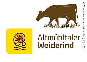 Braunes Weiderind grast auf weißem Hintergrund und Ammonit auf gelben Hintergrund