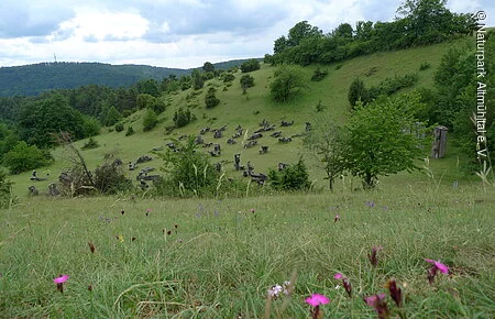 Sicht auf das Figurenfeld in Eichstätt