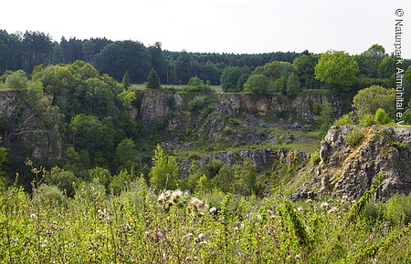 Steinbruch bei Bieswang