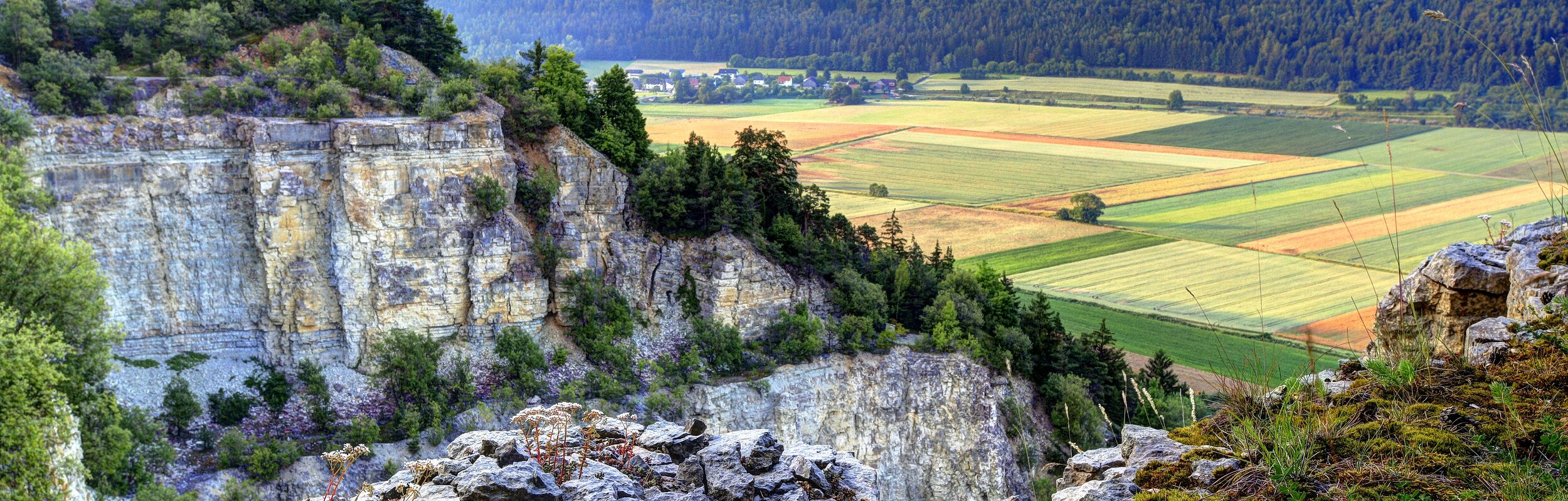 Ausblick vom Geotop am Arzberg
