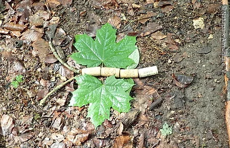 Landart Schmetterling
