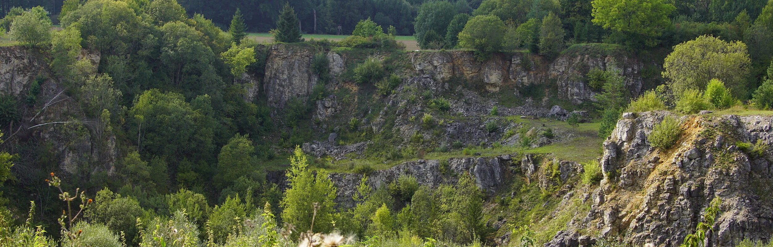 Blick von der Besucherplattform auf den Steinbruch bei Bieswang