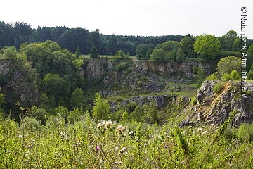 Steinbruch bei Bieswang Blick von der Besucherplattform auf den Steinbruch bei Bieswang