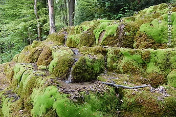 Wanderweg Nr. 4