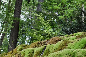 Wanderweg Nr. 4 Berching
