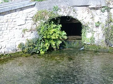 Natur in der Stadt Eichstätt Kapellbuck