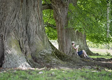 Naturschutzgebiet Buchleite bei Markt Berolzheim