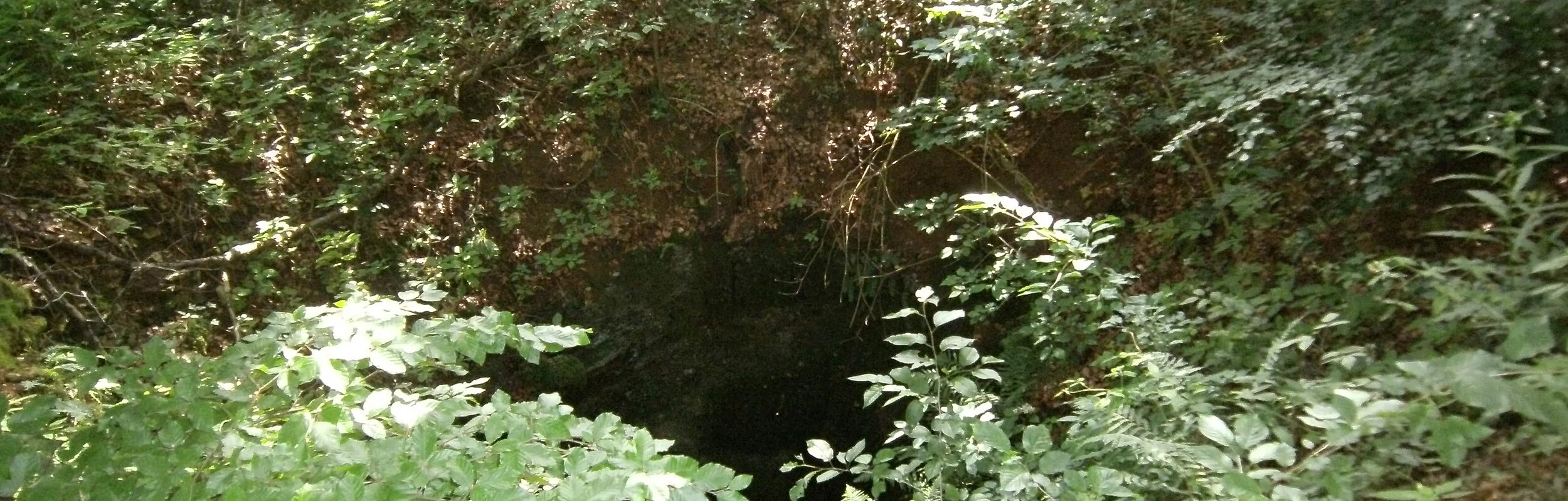Doline