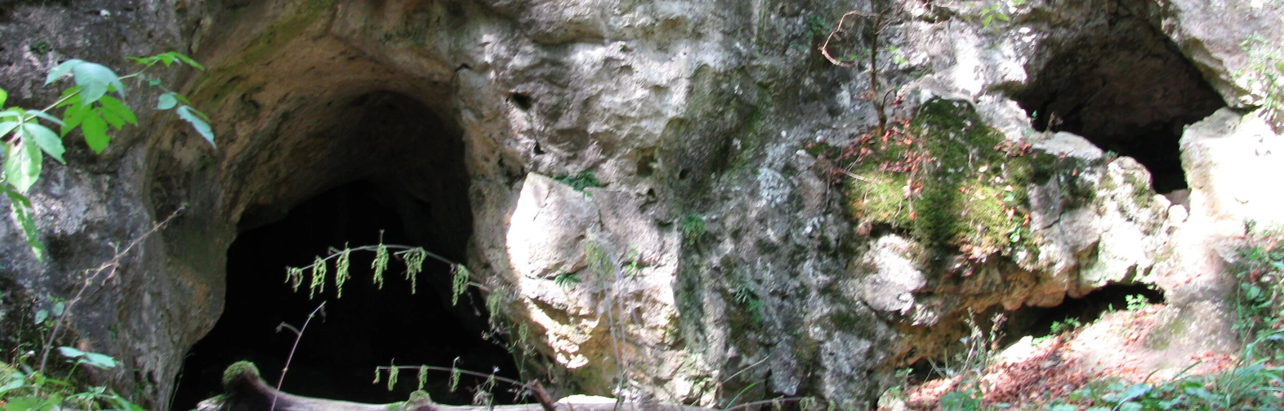 Höhle bei Aicha im Wellheimer Trockental, auch Urdonautal genannt. Blick von außen auf den Höhleneingang
