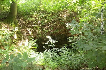 Doline
