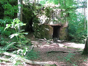 Zigeunerloch bei Wellheim Das Zigeunerloch ist ein mächtiges, bizarres Felsgebilde mitten in einem dichten Buchenwald.