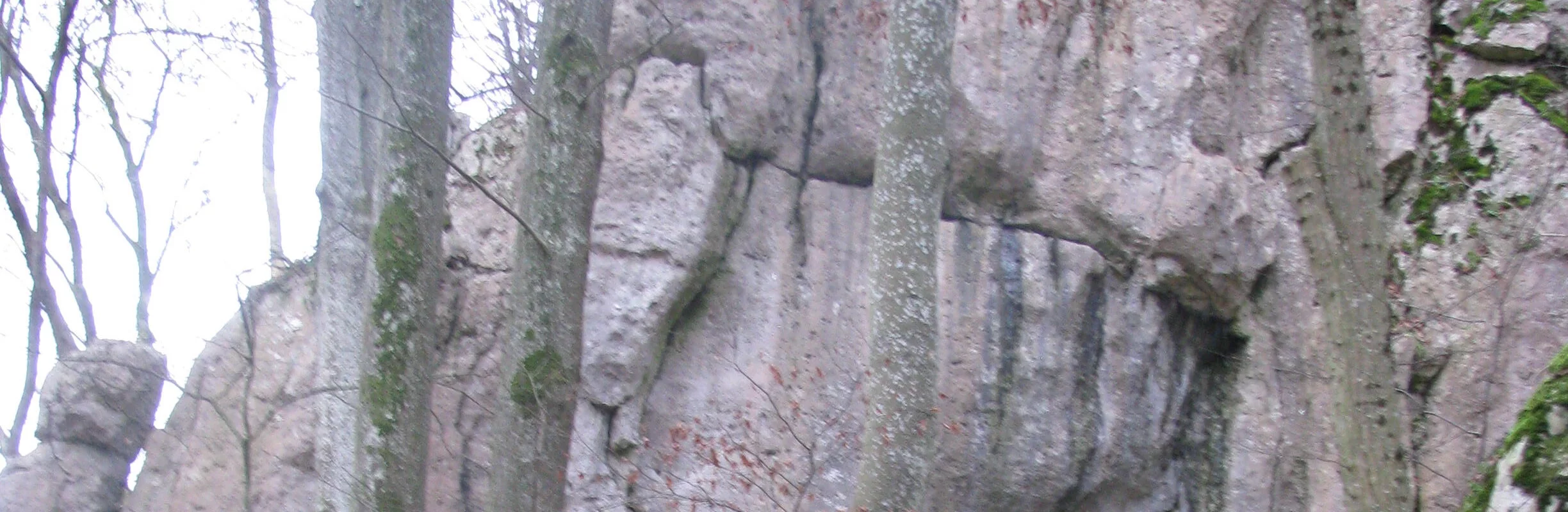 Alter Burgfelsen Aicha