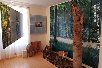 Ausstellung - Wald
