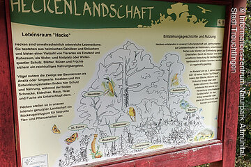 Natur-Erlebnis-Pfad am Nagelberg - Heckentafel