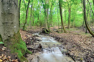 Wasserlauf Römmerbrunnen