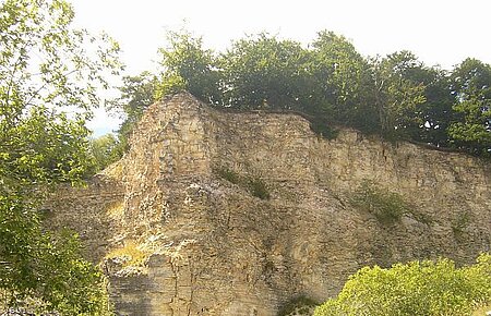 Steilwand des Mörnsheimer Horstbergbruchs