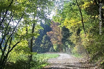 Der Kräuterweg führt Sie durchs Katzental zwischen Böhmfeld und Schambach.