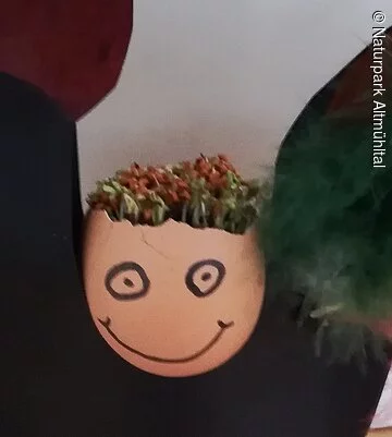 Kresse Ei